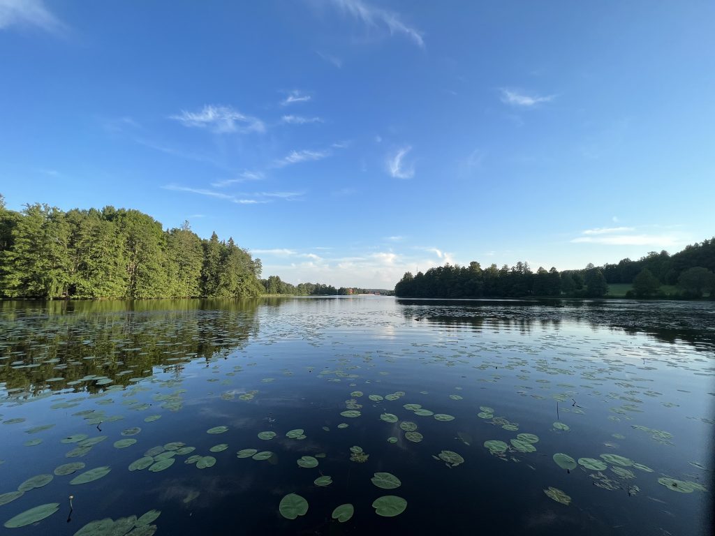水草が浮かぶ湖と緑豊かな森林が広がるフィンランドの自然風景