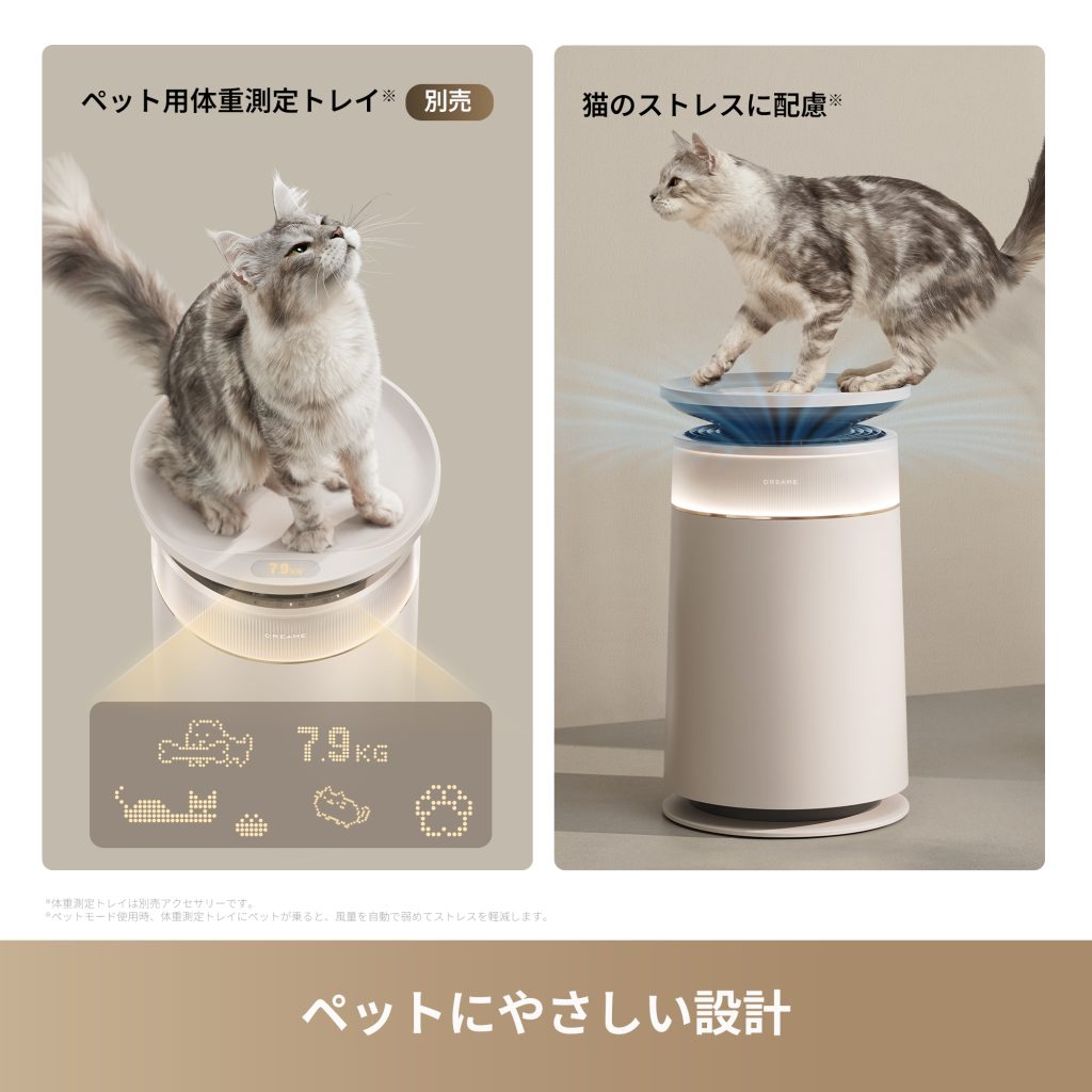 Dreame FP10と別売のペット用体重測定トレイに乗る猫