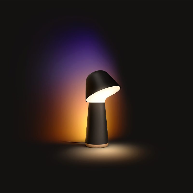 前面と背面の二つの光源を備えたPhilips Hue トワイライトのブラックモデル