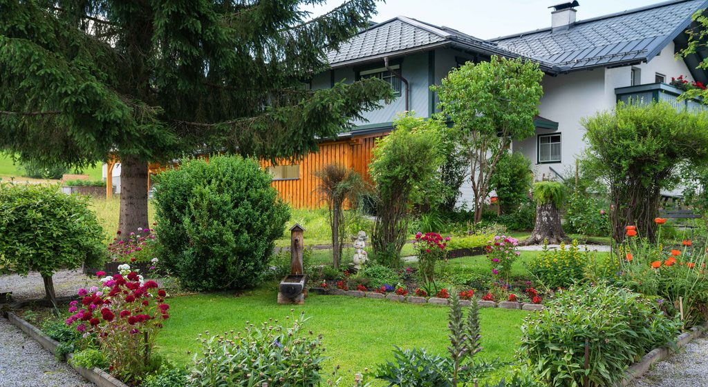 草木や花に囲まれた住宅の庭