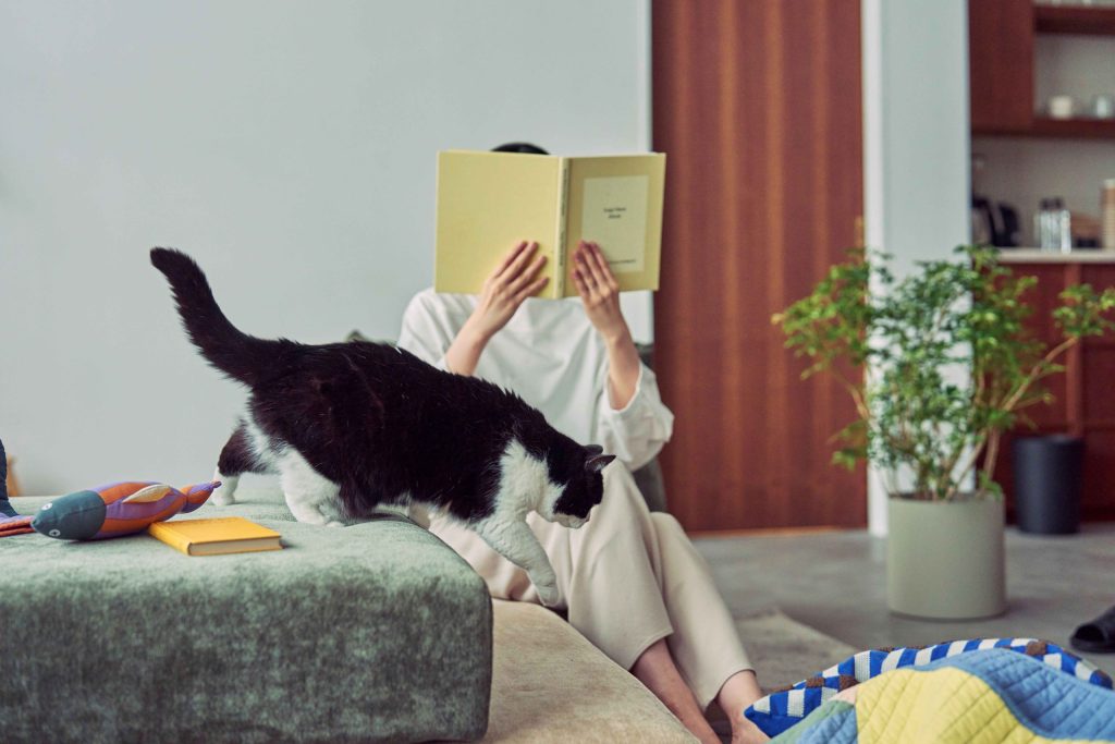 アクタス「nepheeco」のFOAMY FLOOR SOFA。ロータイプのソファから飼い主の膝へ移動する猫