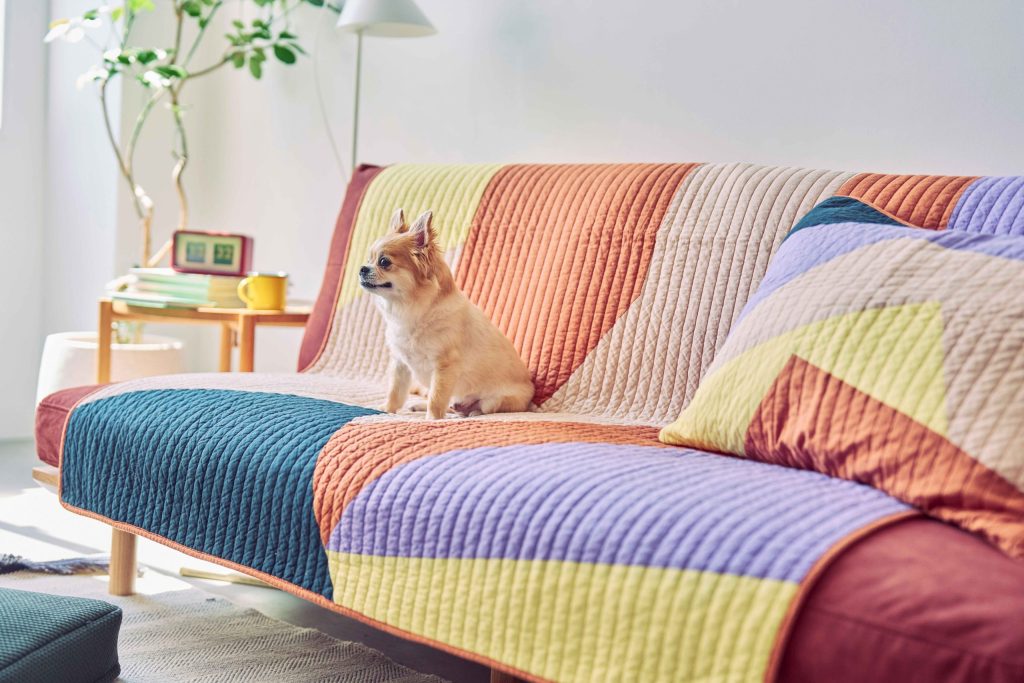 アクタス「nepheeco」のカラフルなキルトケットを敷いたソファでくつろぐ小型犬