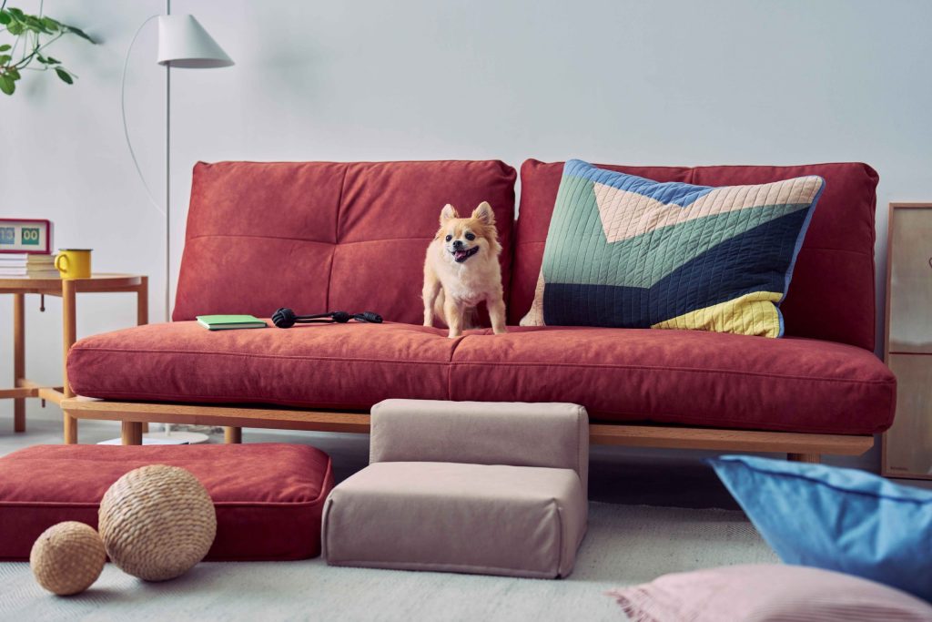 アクタスのペット対応ソファ「five by five」と小型犬用ステップ「STEP FOR DOG」。赤いソファでくつろぐ犬