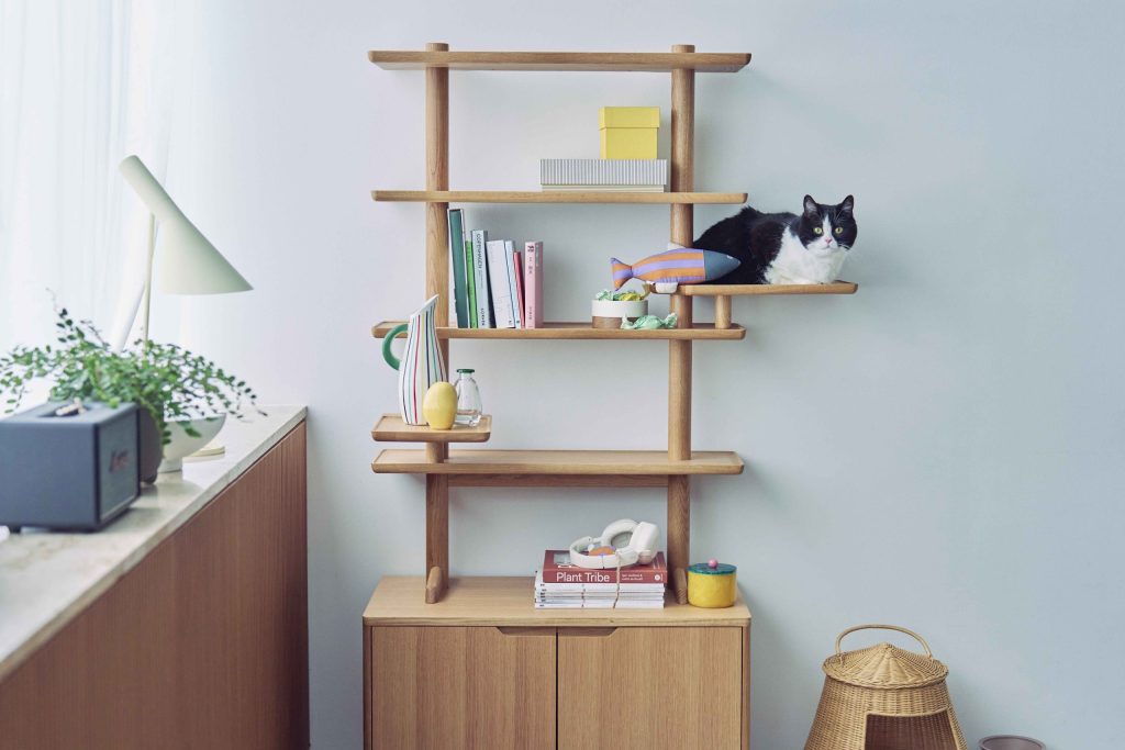 アクタス「nepheeco」のGALLERY SHELF。キャットウォークとディスプレイ収納を一体化した木製シェルフでくつろぐ猫